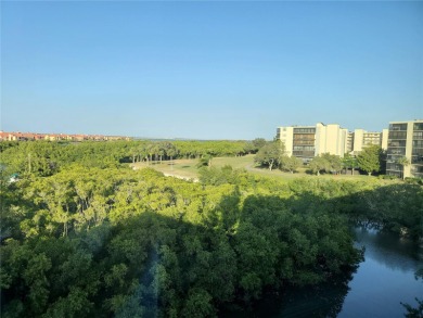 Hurry and take advantage of this amazing opportunity to own a on Cove Cay Country Club in Florida - for sale on GolfHomes.com, golf home, golf lot