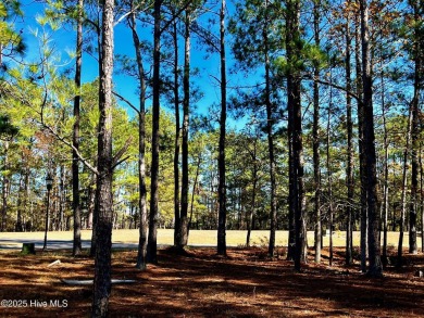 Located in the exclusive Cambridge Estate neighborhood of Ocean on Ocean Ridge Plantation in North Carolina - for sale on GolfHomes.com, golf home, golf lot