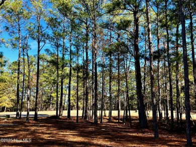 Located in the exclusive Cambridge Estate neighborhood of Ocean on Ocean Ridge Plantation in North Carolina - for sale on GolfHomes.com, golf home, golf lot