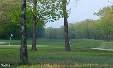 There's lots of room for you and your friends in this 3rd-floor on Blue Knob Rec Area Golf Course in Pennsylvania - for sale on GolfHomes.com, golf home, golf lot