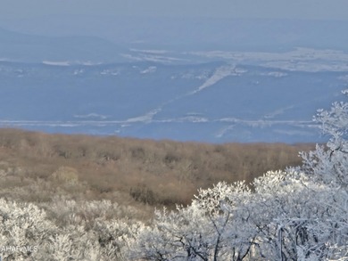 There's lots of room for you and your friends in this 3rd-floor on Blue Knob Rec Area Golf Course in Pennsylvania - for sale on GolfHomes.com, golf home, golf lot