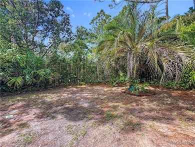 Welcome to 17 Sweetbay Ct., a beautifully designed 3-bedroom on Sugarmill Woods Golf and Country Club in Florida - for sale on GolfHomes.com, golf home, golf lot