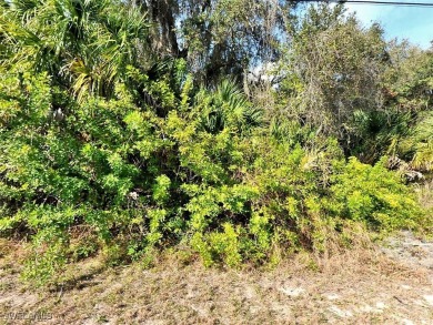 A great lot located near the growing city of North Port, in on Bobcat Trail Golf Club in Florida - for sale on GolfHomes.com, golf home, golf lot