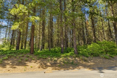 Discover the perfect opportunity to build your dream home in the on Suncadia Resort in Washington - for sale on GolfHomes.com, golf home, golf lot