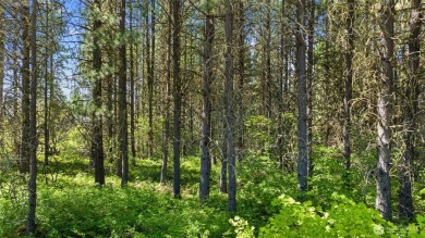 Discover the perfect opportunity to build your dream home in the on Suncadia Resort in Washington - for sale on GolfHomes.com, golf home, golf lot