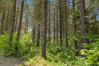 Discover the perfect opportunity to build your dream home in the on Suncadia Resort in Washington - for sale on GolfHomes.com, golf home, golf lot