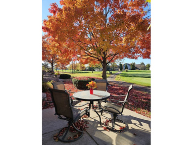 2 Bedrooms Upstairs, 1 More Bedroom/Craft Room Downstairs With on The Links at Carillon in Illinois - for sale on GolfHomes.com, golf home, golf lot