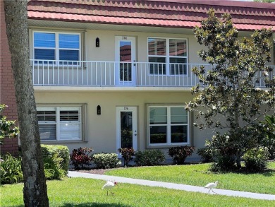 Turnkey 2nd Fl /2BR/2BA Condo /GOLF & WATER VIEWS. Welcome to on The American Golf Club in Florida - for sale on GolfHomes.com, golf home, golf lot