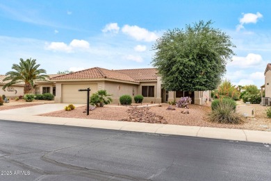 Nicely updated MADERA! Their Pride is Your Joy! Exterior painted on Desert Springs Golf Course in Arizona - for sale on GolfHomes.com, golf home, golf lot