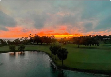 This 7th Floor gorgeously renovated fully furnished Studio, with on Cove Cay Country Club in Florida - for sale on GolfHomes.com, golf home, golf lot