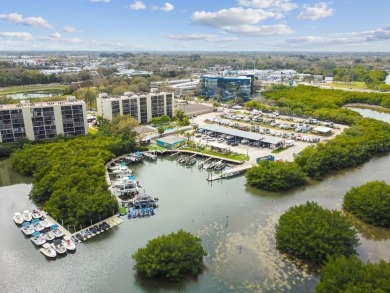This 7th Floor gorgeously renovated fully furnished Studio, with on Cove Cay Country Club in Florida - for sale on GolfHomes.com, golf home, golf lot