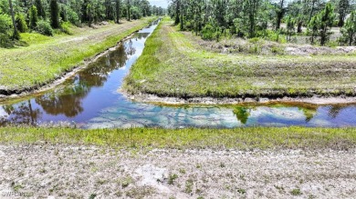 INTERSECTING CANAL VIEWS! You Will Be Amazed By The Quality Of on Mirror Lakes Golf Club in Florida - for sale on GolfHomes.com, golf home, golf lot