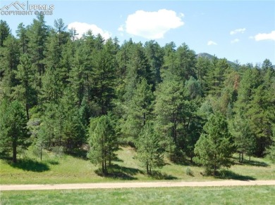 1-Acre Lot in popular Perry Park * Welcome to the Foothills of on Perry Park Country Club in Colorado - for sale on GolfHomes.com, golf home, golf lot