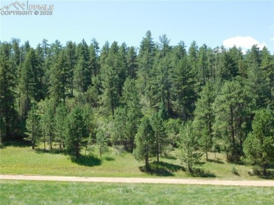 1-Acre Lot in popular Perry Park * Welcome to the Foothills of on Perry Park Country Club in Colorado - for sale on GolfHomes.com, golf home, golf lot