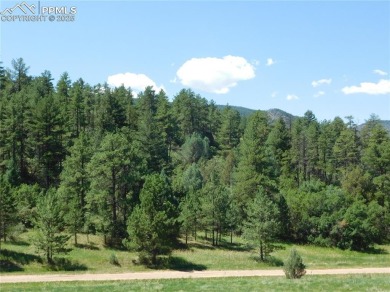 1-Acre Lot in popular Perry Park * Welcome to the Foothills of on Perry Park Country Club in Colorado - for sale on GolfHomes.com, golf home, golf lot