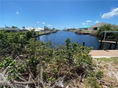 Rare Southern exposure GULF ACCESS WITH SEAWALL lot looking down on Burnt Store Golf Club in Florida - for sale on GolfHomes.com, golf home, golf lot
