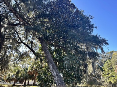 Located on a quiet cul de sac, this golf view lot is the perfect on The Sanctuary Golf Club At Cat Island in South Carolina - for sale on GolfHomes.com, golf home, golf lot