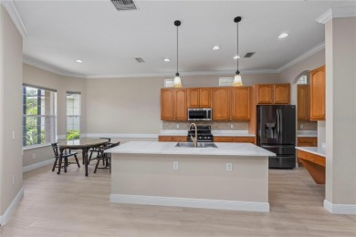 Luxury Living in Waterchase - Tampa's Premier Resort-Style on The Eagles Golf Course and Club in Florida - for sale on GolfHomes.com, golf home, golf lot