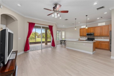 Luxury Living in Waterchase - Tampa's Premier Resort-Style on The Eagles Golf Course and Club in Florida - for sale on GolfHomes.com, golf home, golf lot