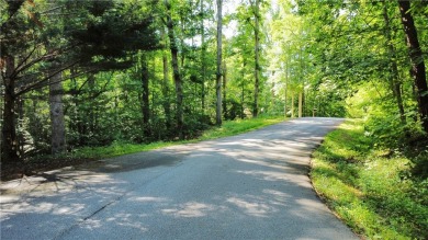 Great lake lot in the Foxwood Hills community, zoned yellow but on Fox Wood Hills Golf Course in South Carolina - for sale on GolfHomes.com, golf home, golf lot