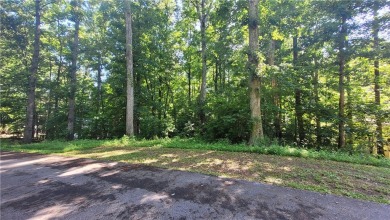 Great lake lot in the Foxwood Hills community, zoned yellow but on Fox Wood Hills Golf Course in South Carolina - for sale on GolfHomes.com, golf home, golf lot