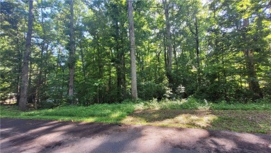 Great lake lot in the Foxwood Hills community, zoned yellow but on Fox Wood Hills Golf Course in South Carolina - for sale on GolfHomes.com, golf home, golf lot
