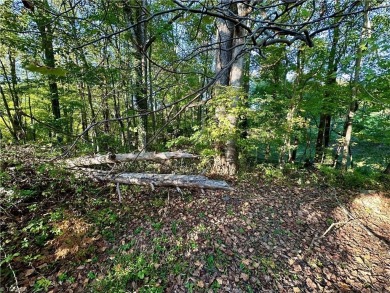 WHAT A GREAT OPPORTUNITY TO BUY LAND WITH POTENTIAL MOUNTAIN on Pilot Knob Park Country Club in North Carolina - for sale on GolfHomes.com, golf home, golf lot