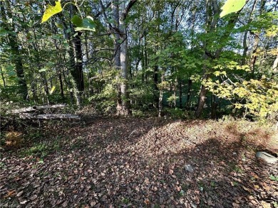 WHAT A GREAT OPPORTUNITY TO BUY LAND WITH POTENTIAL MOUNTAIN on Pilot Knob Park Country Club in North Carolina - for sale on GolfHomes.com, golf home, golf lot