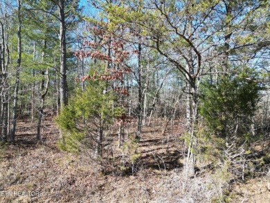 Discover a beautiful level wooded lot on a tar and chipped road on Lake Tansi Village Country Club in Tennessee - for sale on GolfHomes.com, golf home, golf lot