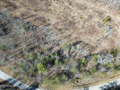 Discover a beautiful level wooded lot on a tar and chipped road on Lake Tansi Village Country Club in Tennessee - for sale on GolfHomes.com, golf home, golf lot