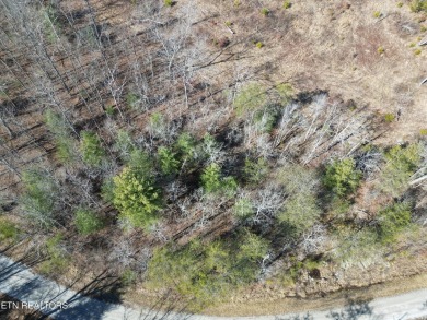 Discover a beautiful level wooded lot on a tar and chipped road on Lake Tansi Village Country Club in Tennessee - for sale on GolfHomes.com, golf home, golf lot