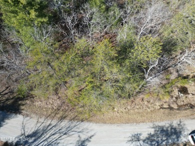 Discover a beautiful level wooded lot on a tar and chipped road on Lake Tansi Village Country Club in Tennessee - for sale on GolfHomes.com, golf home, golf lot
