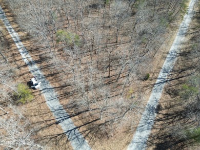 Discover a beautiful level wooded lot on a tarred and chipped on Lake Tansi Village Country Club in Tennessee - for sale on GolfHomes.com, golf home, golf lot