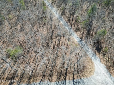 Discover a beautiful level wooded lot on a tarred and chipped on Lake Tansi Village Country Club in Tennessee - for sale on GolfHomes.com, golf home, golf lot