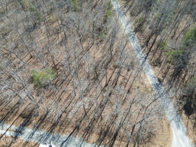 Discover a beautiful level wooded lot on a tarred and chipped on Lake Tansi Village Country Club in Tennessee - for sale on GolfHomes.com, golf home, golf lot