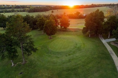 Located just 2 miles from Bull Shoals Lake in Diamond City on Diamond Hills Country Club in Arkansas - for sale on GolfHomes.com, golf home, golf lot