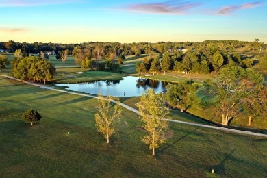 Located just 2 miles from Bull Shoals Lake in Diamond City on Diamond Hills Country Club in Arkansas - for sale on GolfHomes.com, golf home, golf lot