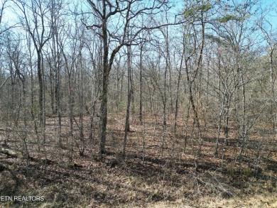 Discover a beautiful level wooded lot on a tar and chipped paved on Lake Tansi Village Country Club in Tennessee - for sale on GolfHomes.com, golf home, golf lot