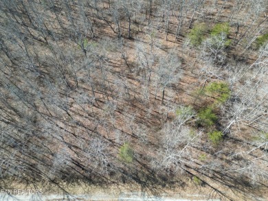 Discover a beautiful level wooded lot on a tar and chipped paved on Lake Tansi Village Country Club in Tennessee - for sale on GolfHomes.com, golf home, golf lot