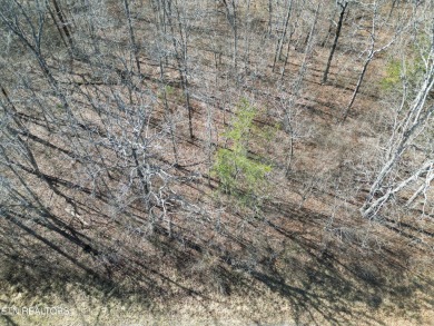 Discover a beautiful level wooded lot on a tar and chipped paved on Lake Tansi Village Country Club in Tennessee - for sale on GolfHomes.com, golf home, golf lot