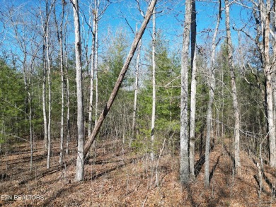 Discover a beautiful level wooded lot, tarred and chipped road on Lake Tansi Village Country Club in Tennessee - for sale on GolfHomes.com, golf home, golf lot