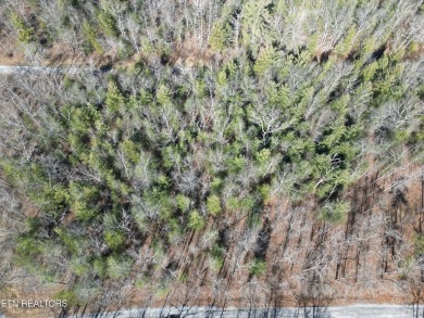 Discover a beautiful level wooded lot, tarred and chipped road on Lake Tansi Village Country Club in Tennessee - for sale on GolfHomes.com, golf home, golf lot