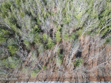 Discover a beautiful level wooded lot, tarred and chipped road on Lake Tansi Village Country Club in Tennessee - for sale on GolfHomes.com, golf home, golf lot