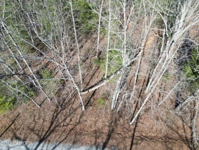 Discover a beautiful level wooded lot, tarred and chipped road on Lake Tansi Village Country Club in Tennessee - for sale on GolfHomes.com, golf home, golf lot