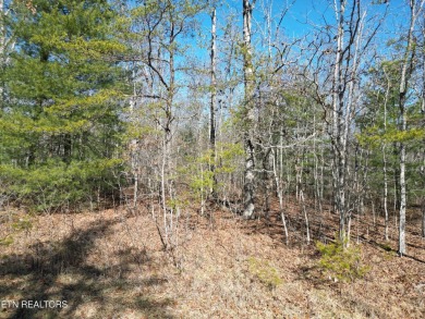 Discover a beautiful wooded level lot on a tar and chipped lot on Lake Tansi Village Country Club in Tennessee - for sale on GolfHomes.com, golf home, golf lot