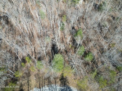 Discover a beautiful wooded level lot on a tar and chipped lot on Lake Tansi Village Country Club in Tennessee - for sale on GolfHomes.com, golf home, golf lot