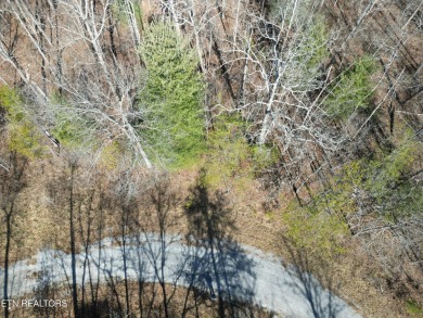 Discover a beautiful wooded level lot on a tar and chipped lot on Lake Tansi Village Country Club in Tennessee - for sale on GolfHomes.com, golf home, golf lot