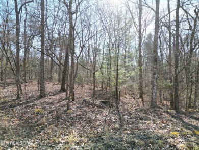 Discover a beautiful gentle slopped , level wooded lot on a on Lake Tansi Village Country Club in Tennessee - for sale on GolfHomes.com, golf home, golf lot