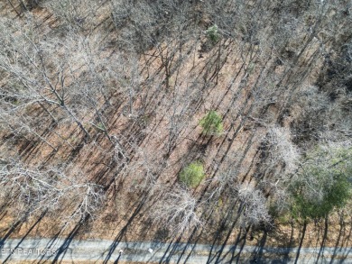 Discover a beautiful gentle slopped , level wooded lot on a on Lake Tansi Village Country Club in Tennessee - for sale on GolfHomes.com, golf home, golf lot