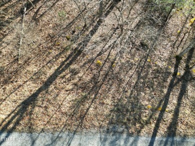 Discover a beautiful gentle slopped , level wooded lot on a on Lake Tansi Village Country Club in Tennessee - for sale on GolfHomes.com, golf home, golf lot